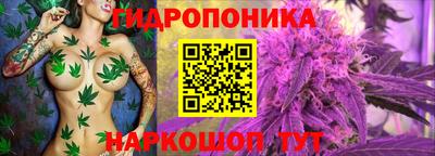 гидра Кунгур