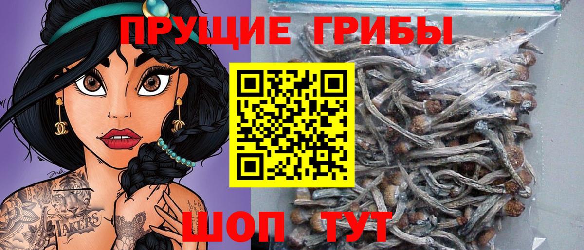 Арсеньев  Псилоцибиновые грибы мицелий  Вход с VPN 